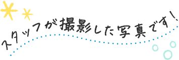 文字